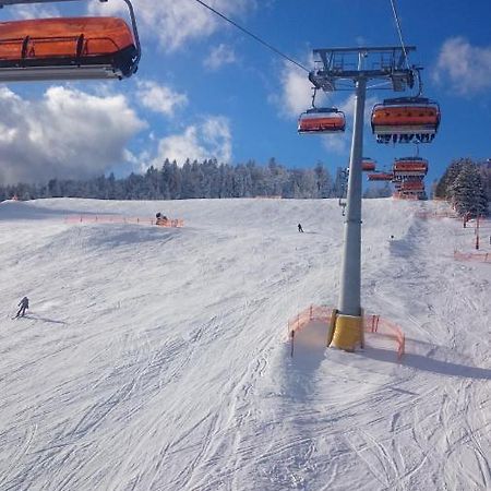 WILLA MAŁE ALPY 300 m OD 2 KOMPLEKSÓW NARCIARSKICH SŁOTWINY-ARENA Krynica-Zdrój Exterior foto