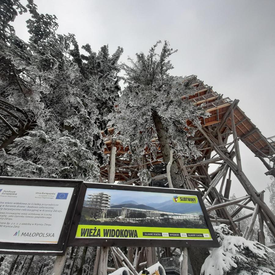 WILLA MAŁE ALPY 300 m OD 2 KOMPLEKSÓW NARCIARSKICH SŁOTWINY-ARENA Krynica-Zdrój Exterior foto